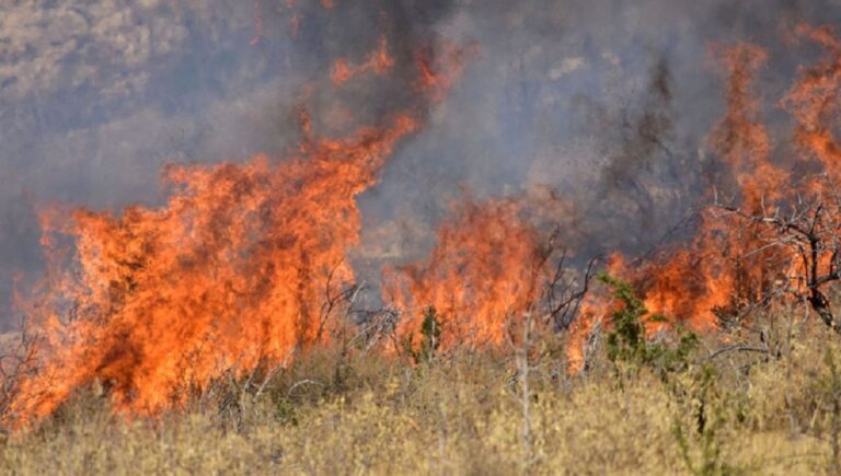 Πολύ υψηλός κίνδυνος πυρκαγιάς αύριο σε Αττική και Εύβοια – Σε κατηγορία κινδύνου 4 περιοχές της Κρήτης και του Β. Αιγαίου